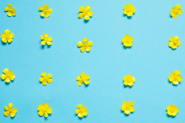 Composition of wildflowers on blue background. Top view. - Image