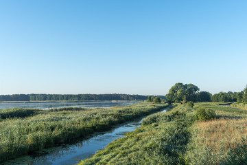 Fototapeta na wymiar Pfefferließ am Morgen im Naturpark Nuthe-Nieplitz