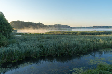 Fototapeta na wymiar Naturpark Nuthe -Nieplitz in Teltow-Fläming