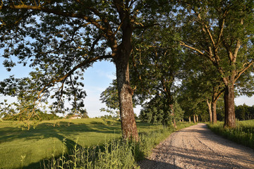 Warmian country road