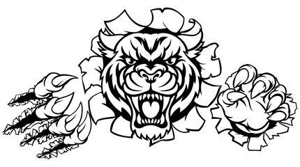 A Tiger angry animal sports mascot breaking through the background with its claws