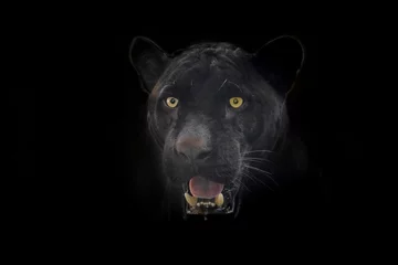 Tuinposter Zwart Jaguar-gezicht op een zwarte achtergrond. © MrPreecha