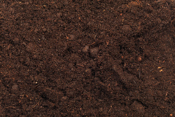 Fototapeta na wymiar soil background ground nature - Image .