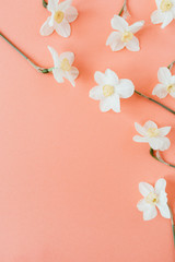 Fototapeta na wymiar Narcissus flowers pattern on living coral background. Flatlay, top view summer floral composition.