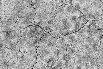 Canicule et grosse chaleur