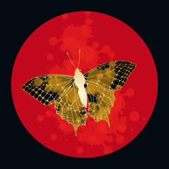 ink butterfly round night gold red