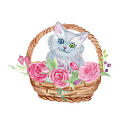 Watercolor cute cat with flowers and basket. Watercolor graphic for fabric, postcard, greeting card, book, poster, tee-shirt. Illustration, isolated objects. © arty_lee