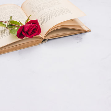 Open book and red rose