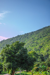 Obraz premium Mountain and river views