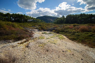 Fototapeta na wymiar Geothermal ground with Sulfur in green area New-Zealand