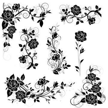  Set of decorative calligraphic design elements with vintage rose and leaves silhouette for border and frame decor. Vector illustration 