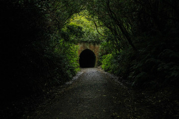 Fototapeta premium Old Railway Tunnel in New-Zealand