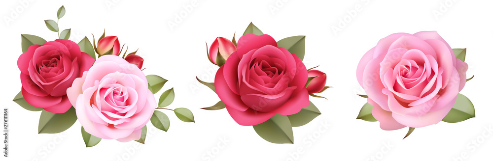 Wall mural set of decorative pink roses with buds and leaves.vintage flowers colletion. vector illustration