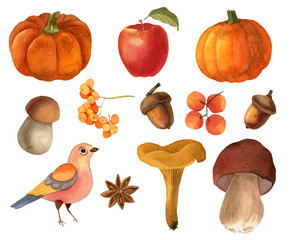 Watercolor autumn clipart (set)