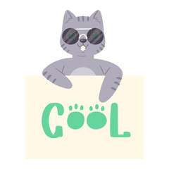 Cat in sunglass banner vector kitten character peeking behind cardboard kitty holding copy space message poster illustration set of pussycat pet animal advertising isolated on background