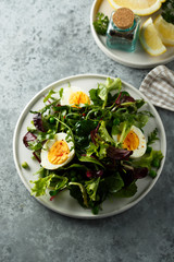 Green salad with hard boiled eggs