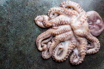 Obraz na płótnie Canvas Fresh raw octopus on dark stone background close up, top view