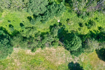 Aerial view from the vertical with bushes, trees and shrubs next to a meadow
