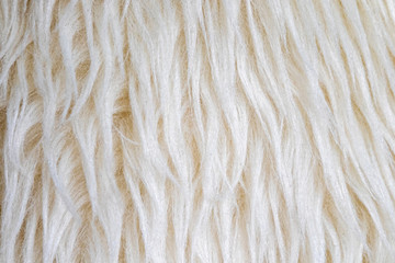 Artificial white long wool. Background. Texyute. Closeup