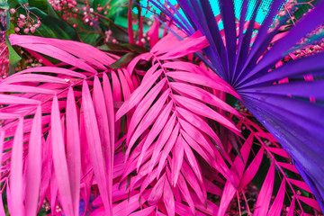 Decoration of tropical leaves painted in bright neon colors.
