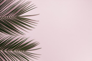 Fototapeta premium Flat lay of tropical leaves with copyspace