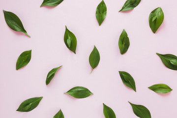 Symmetrical flat lay composition of leaves