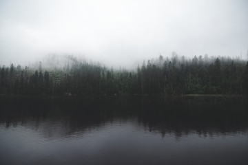 Moody lake and forest in background with solid fog