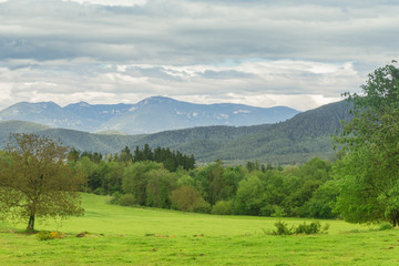 Fototapeta premium Scenic view of grass field, trees and hills under cloudy sky in Catalonia, Spain