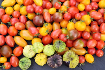 Tomatoes  and tomatillo.