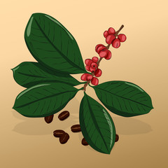 The branch of coffee tree in the style of the sketch