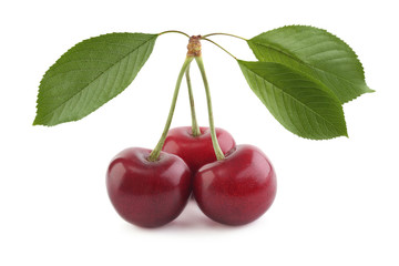 Cherries isolated on white
