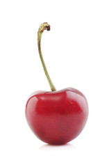 Cherry isolated on white