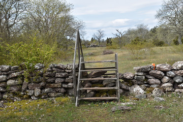 Traditional wooden stile crossing an old dry stone wall in spring season
