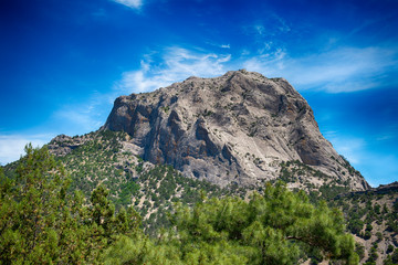 Mount Falcon, Novy Svet village