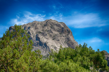 Mount Falcon, Novy Svet village