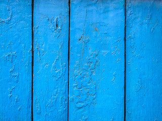 Old grunge background of weathered painted blue wooden plank. Vertical, copy space.