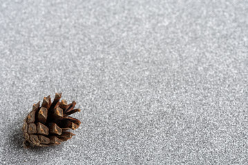 Pine cone in the corner on a gray background. Close-up. Selective focus. Place for an inscription or design.