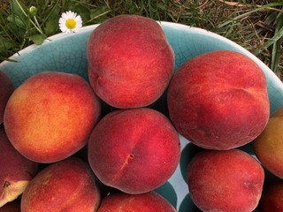 peaches at the market