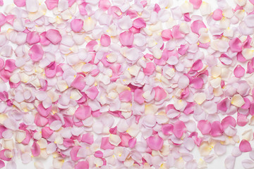 Fototapeta premium Pink rose flowers petals on white background. Flat lay, top view, copy space.