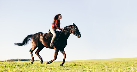 Woman riding a horse on a grass field.