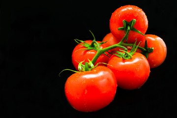 A branch of red tomato is isolating on a black background. Close-up.Copy space	