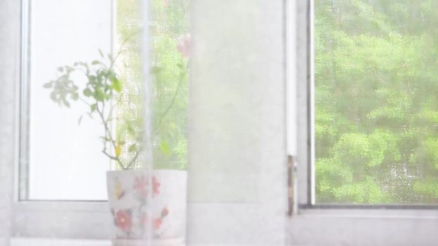 Curtain, transparent tulle on the open plastic window of the house in the summer against the background of green foliage and a ceramic pot with a flower on the windowsill, background for rest, relaxat