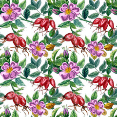 Floral seamless pattern with pink wild rose, rose hip, dog rose, green leaves and red berries, hand drawn watercolor pattern.