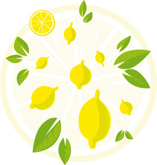 Fototapeta premium Design with Lemon an Leaf - Vector Illustration