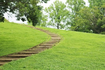 風景　夏　階段　上る　茨城　公園　