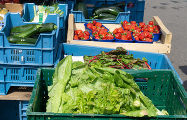 Many different vegetables at the weekly market