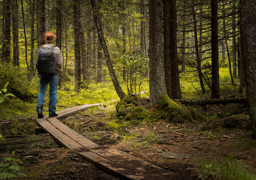 Man walking along a footpath in the forests. Motion blurred.