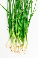 Green onion isolated on white.