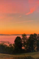 Fototapeta na wymiar Beautiful morning sunrise in July over the Venango Valley in northwest Pennsylvania. Countryside landscape with trees, vertical orientation.