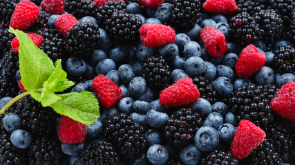 Blackberry, raspberry, blueberry and mint background.